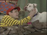 In Living Color